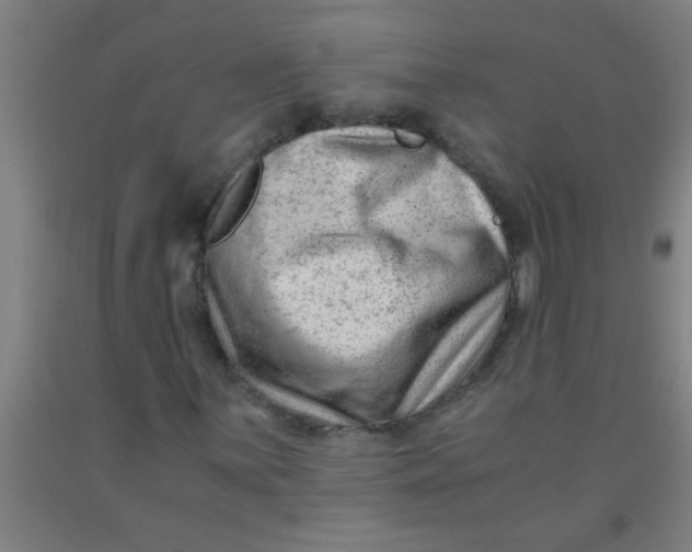 X0000092021059200709271545