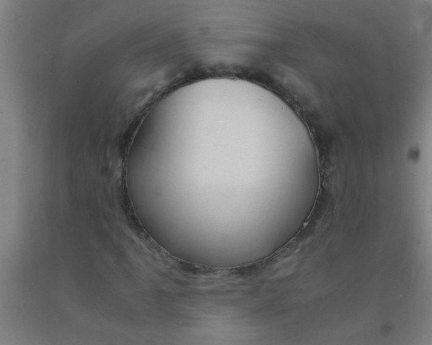 X0000092021061200709271545