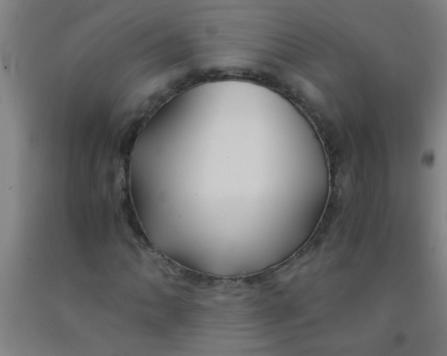 X0000092021062200709271545