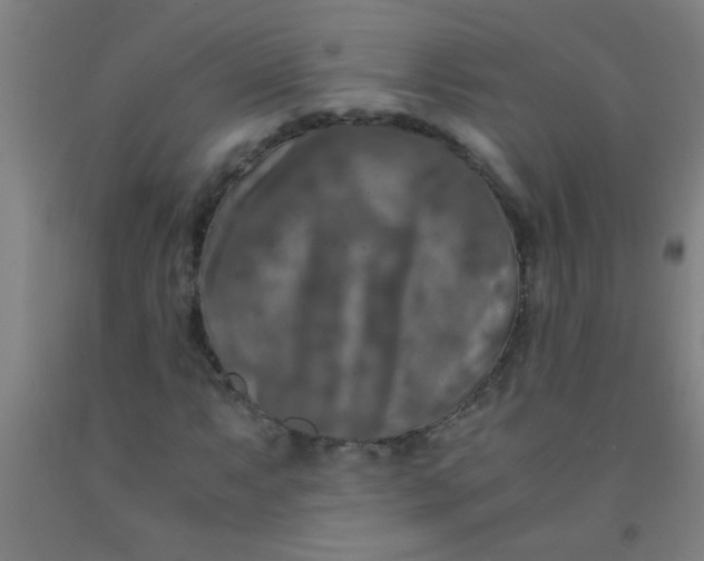 X0000092021063200709271545