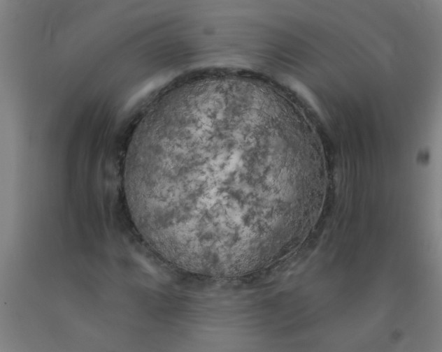 X0000092021064200709271545