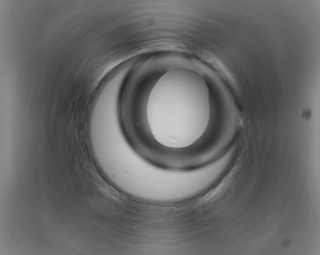 X0000092021065200709271544