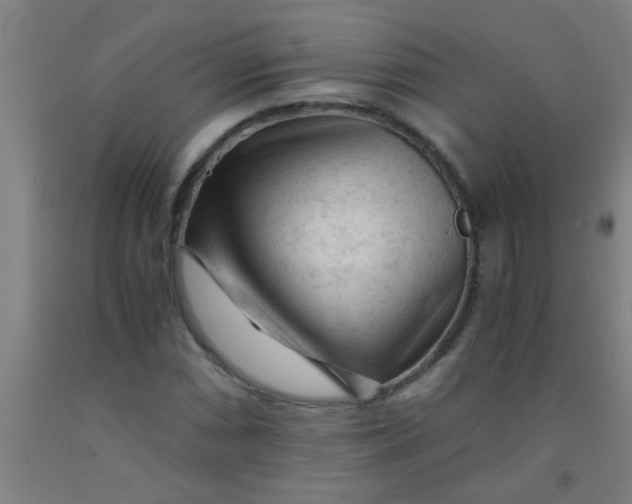 X0000092021066200709271544