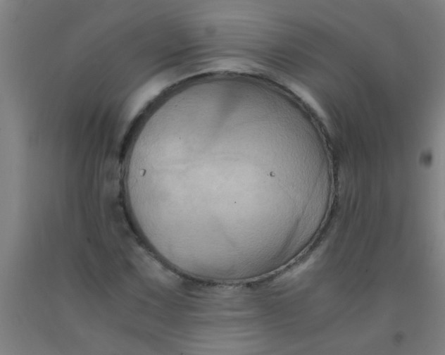 X0000092021067200709271544