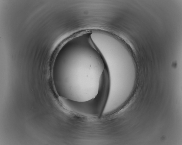 X0000092021069200709271544