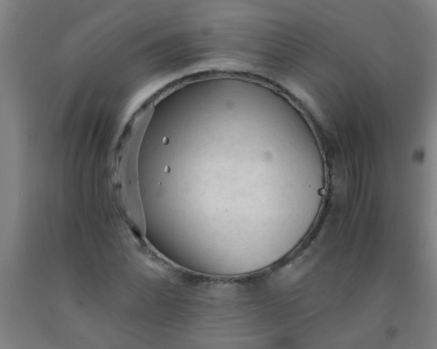 X0000092021070200709271544