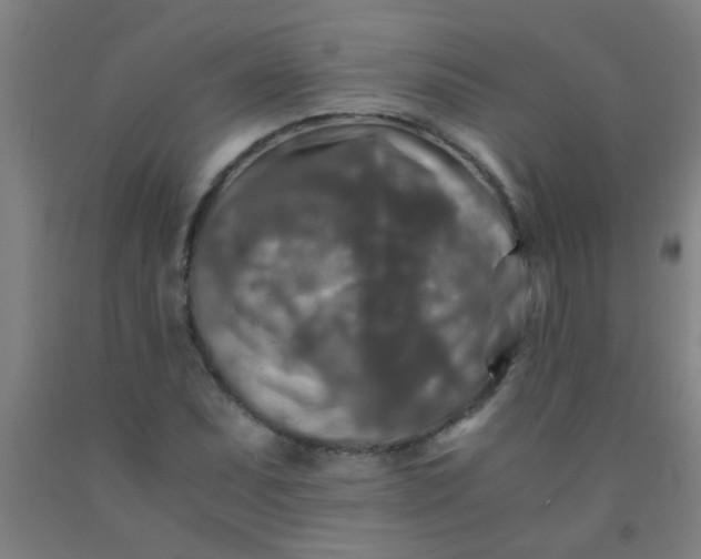 X0000092021071200709271544