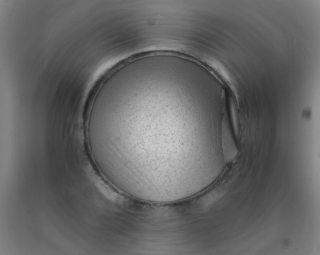 X0000092021072200709271544