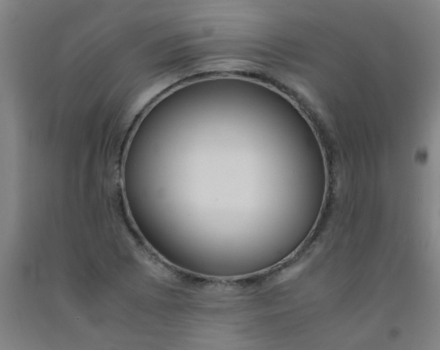 X0000092021073200709271544