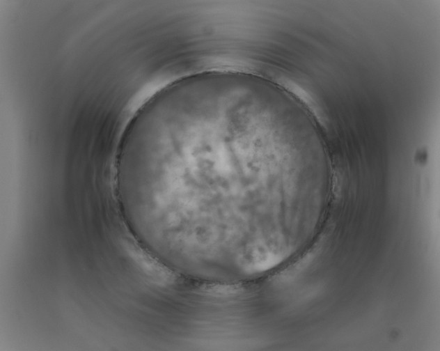 X0000092021074200709271544