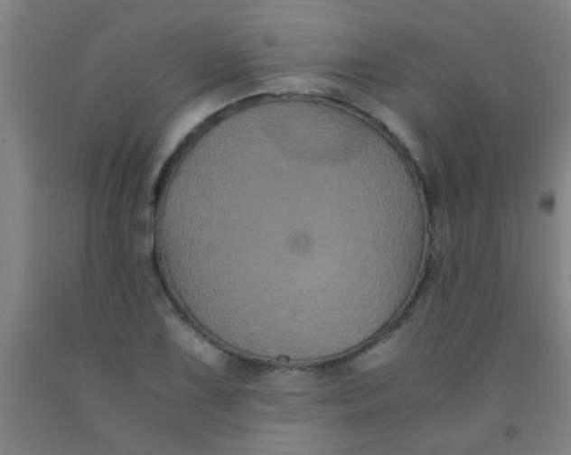 X0000092021075200709271544