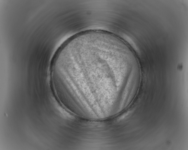 X0000092021076200709271544