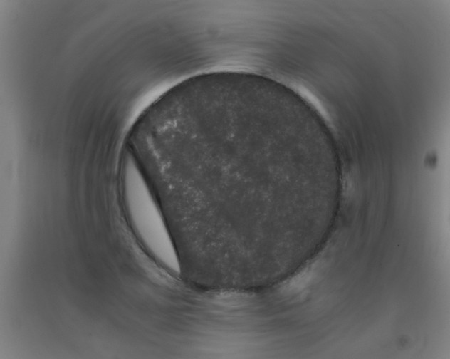 X0000092021077200709271544