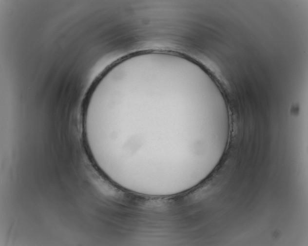 X0000092021078200709271544