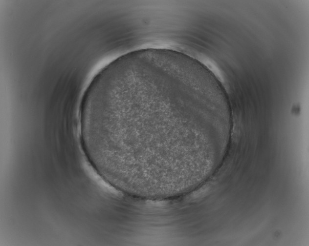 X0000092021080200709271544