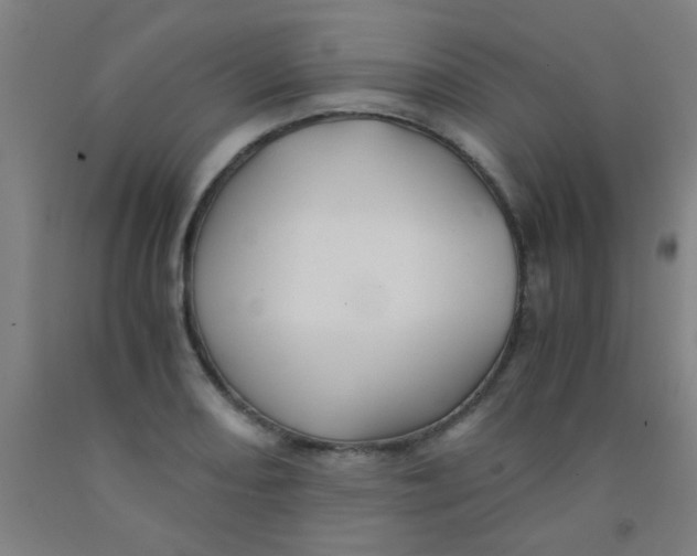 X0000092021082200709271544