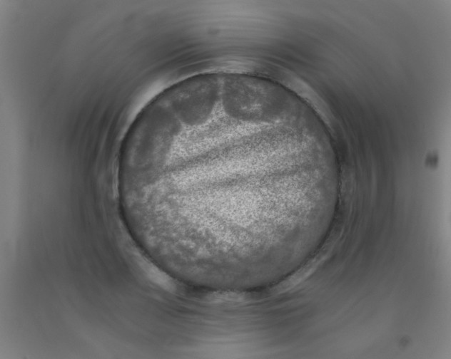 X0000092021083200709271544