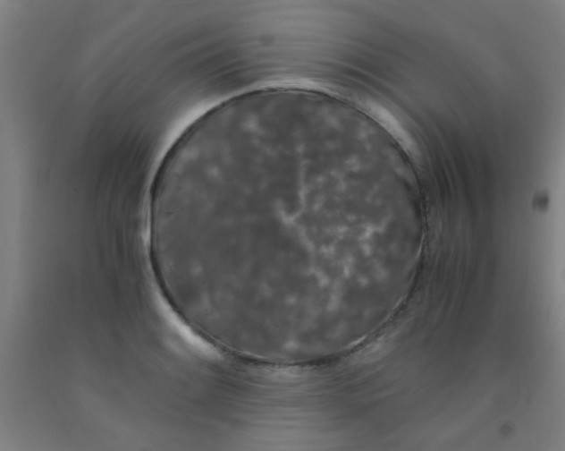 X0000092021084200709271544