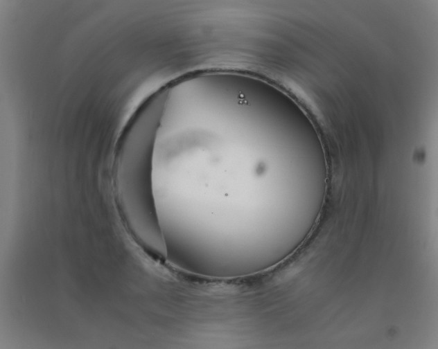 X0000092021085200709271544