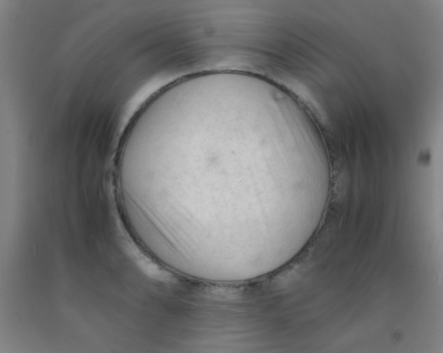 X0000092021086200709271544