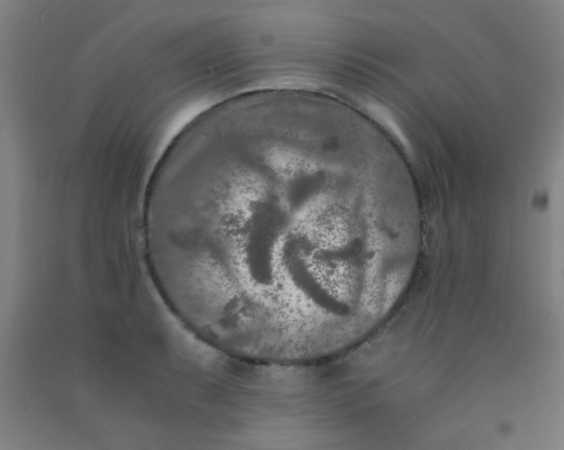 X0000092021087200709271544