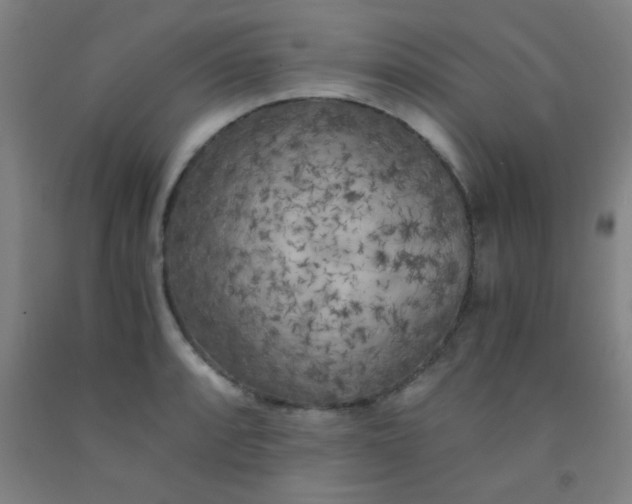 X0000092021088200709271544