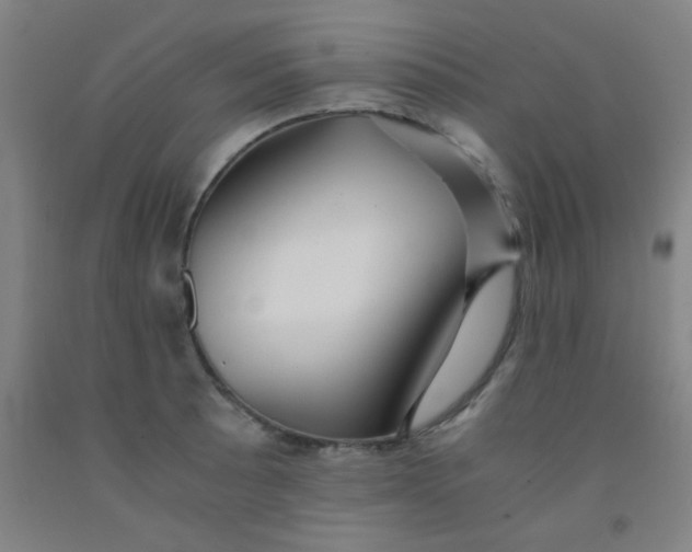 X0000092021089200709271544