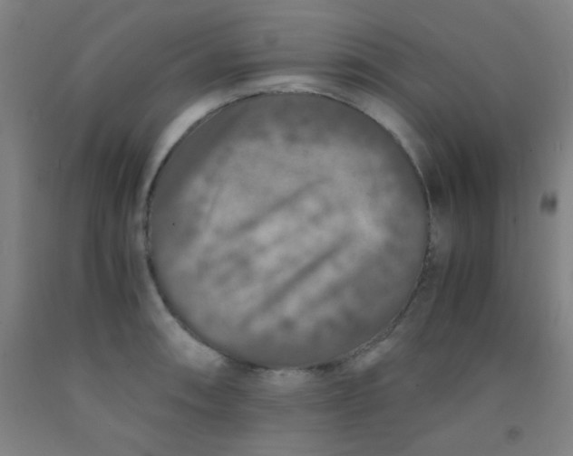 X0000092021090200709271544