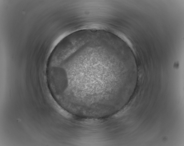 X0000092021091200709271544