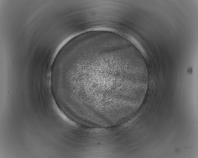 X0000092021092200709271544