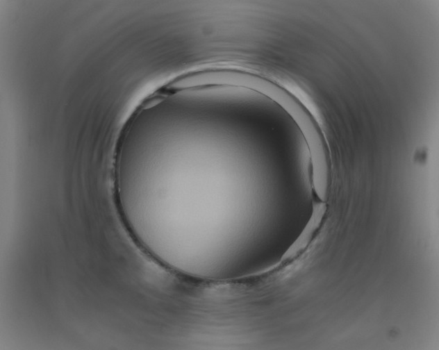 X0000092021093200709271544