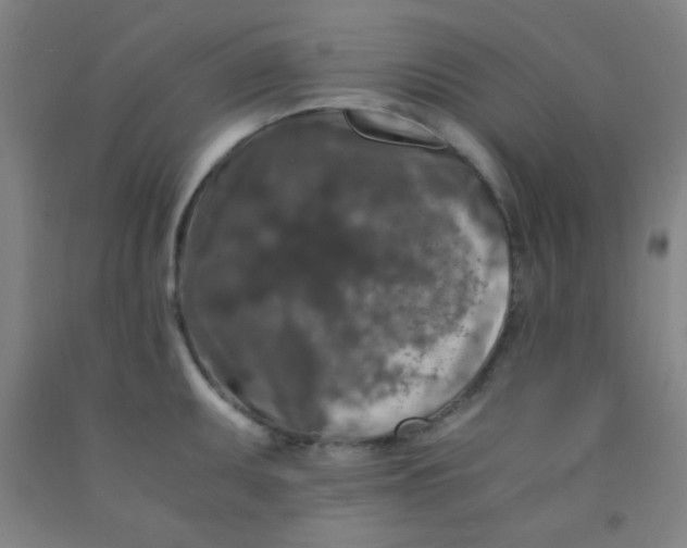 X0000092021095200709271544