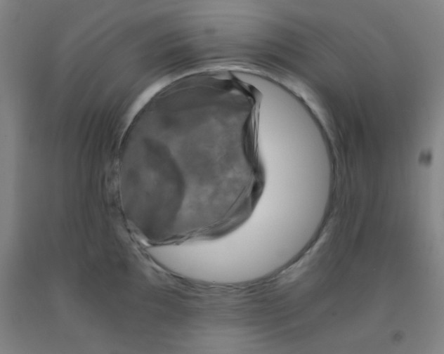 X0000092021097200709271544