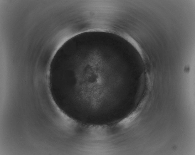 X0000092021099200709271544