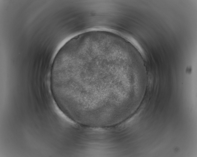 X0000092021100200709271544