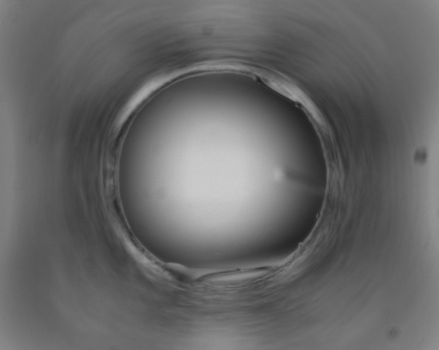 X0000092021101200709271544