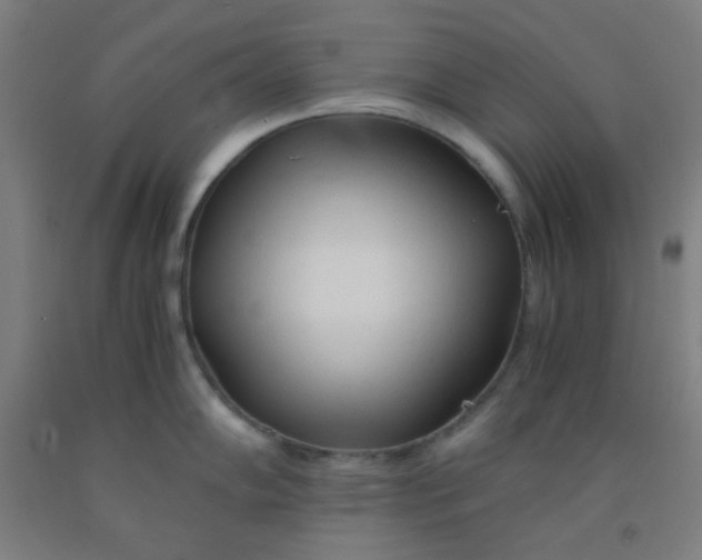 X0000092021102200709271544