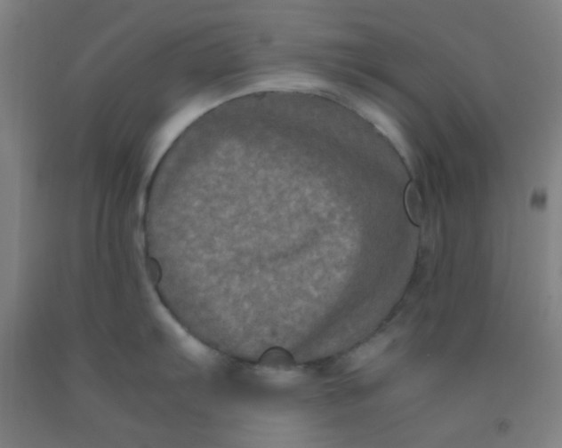 X0000092021103200709271544