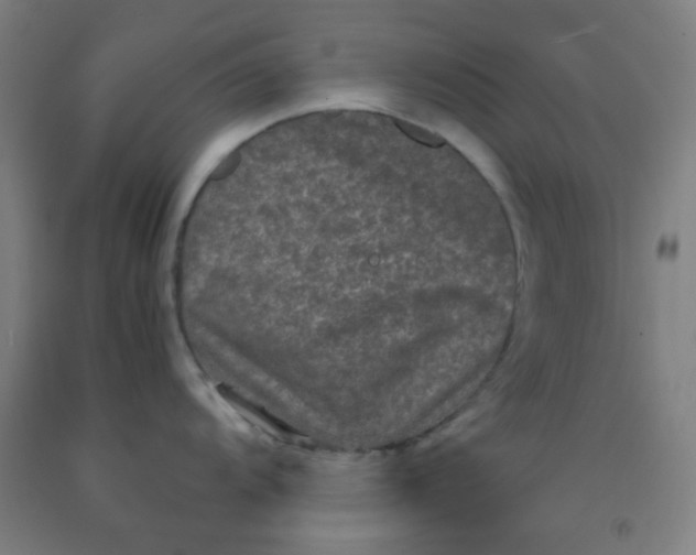 X0000092021104200709271544