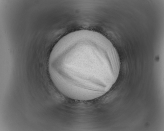 X0000092021105200709271543