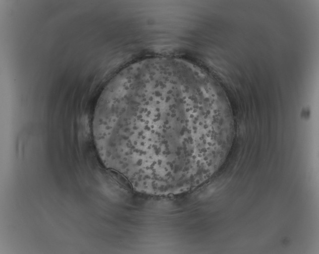 X0000092021106200709271543