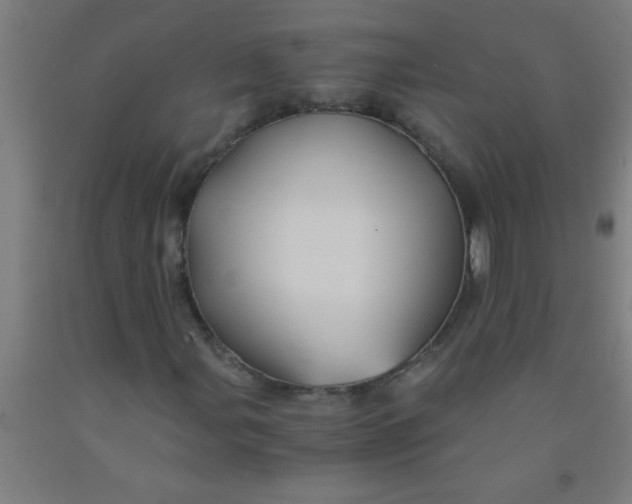 X0000092021107200709271543