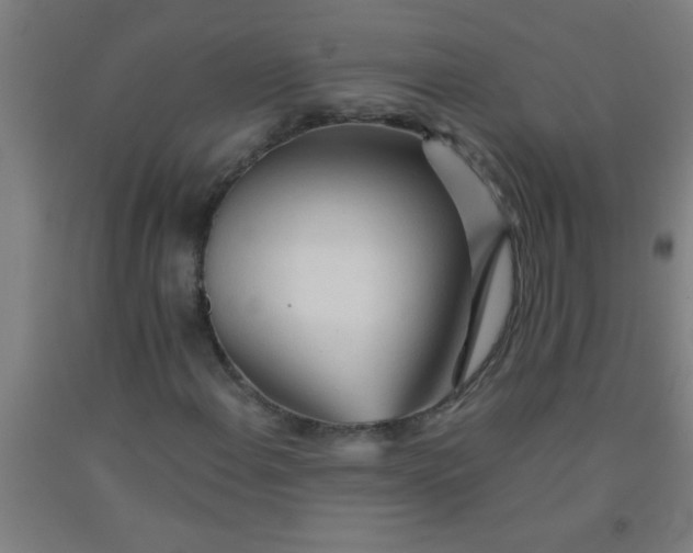 X0000092021108200709271543