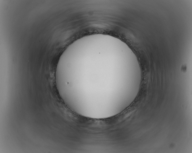 X0000092021109200709271543