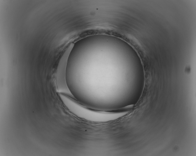 X0000092021110200709271543