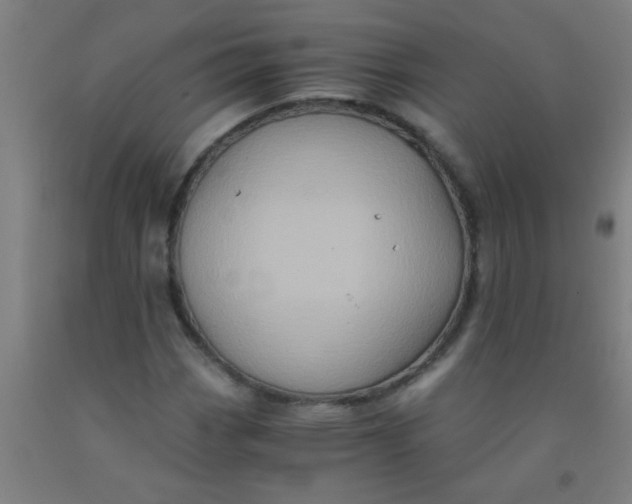 X0000092021113200709271544