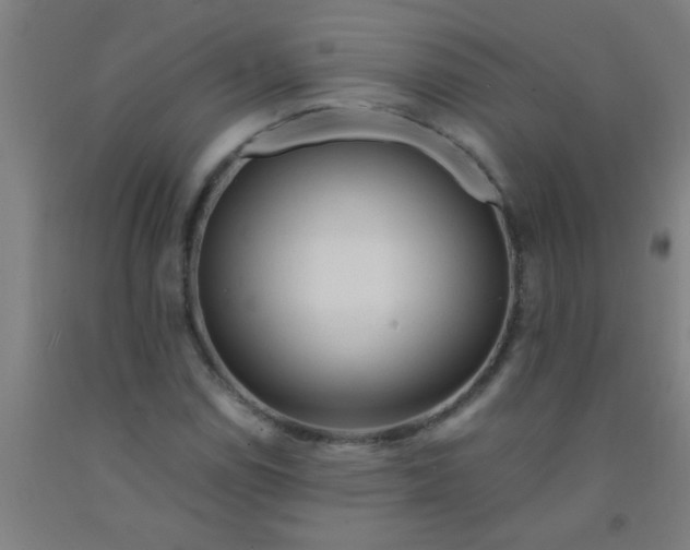 X0000092021114200709271544