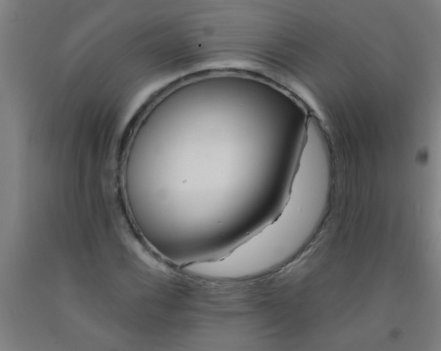 X0000092021116200709271544