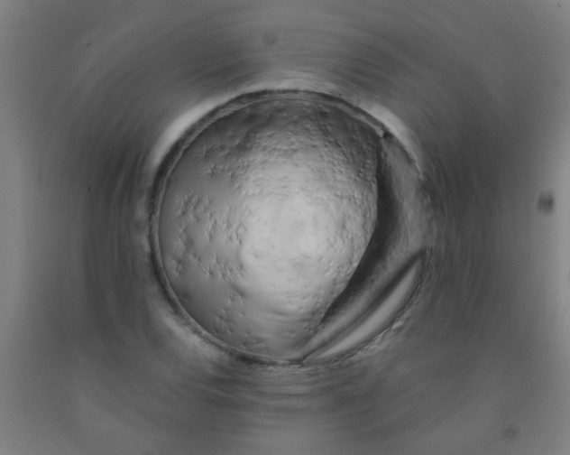 X0000092021120200709271544