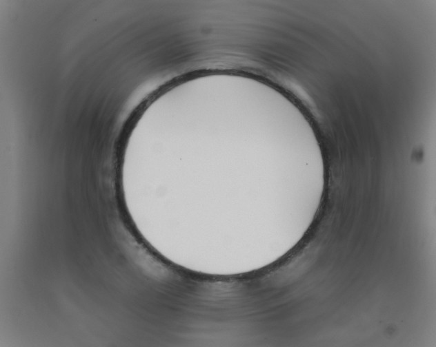 X0000092021122200709271544